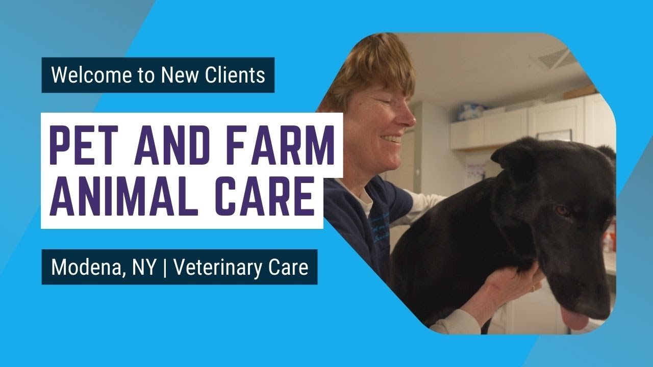 New Clients: Welcome to Our Practice - We Can't Wait to Meet You and Your Animals!