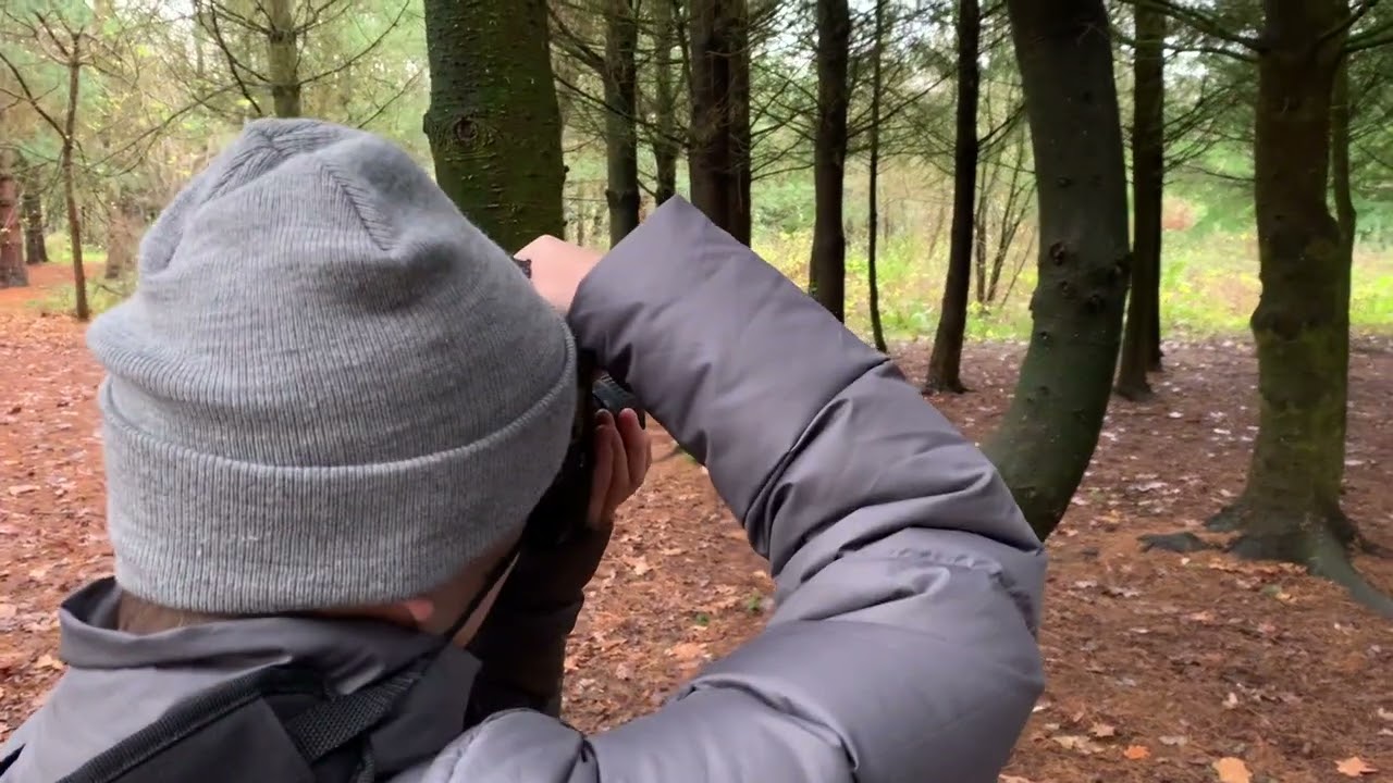 Marky's Photographic Adventures at Fosse Meadows