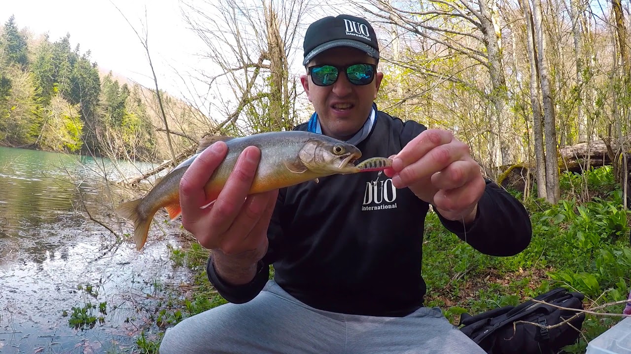 Trout fishing with Duo Spearhead Ryuki 60s on Lake Biograd (Salvelinus alpinus, salmo truta)