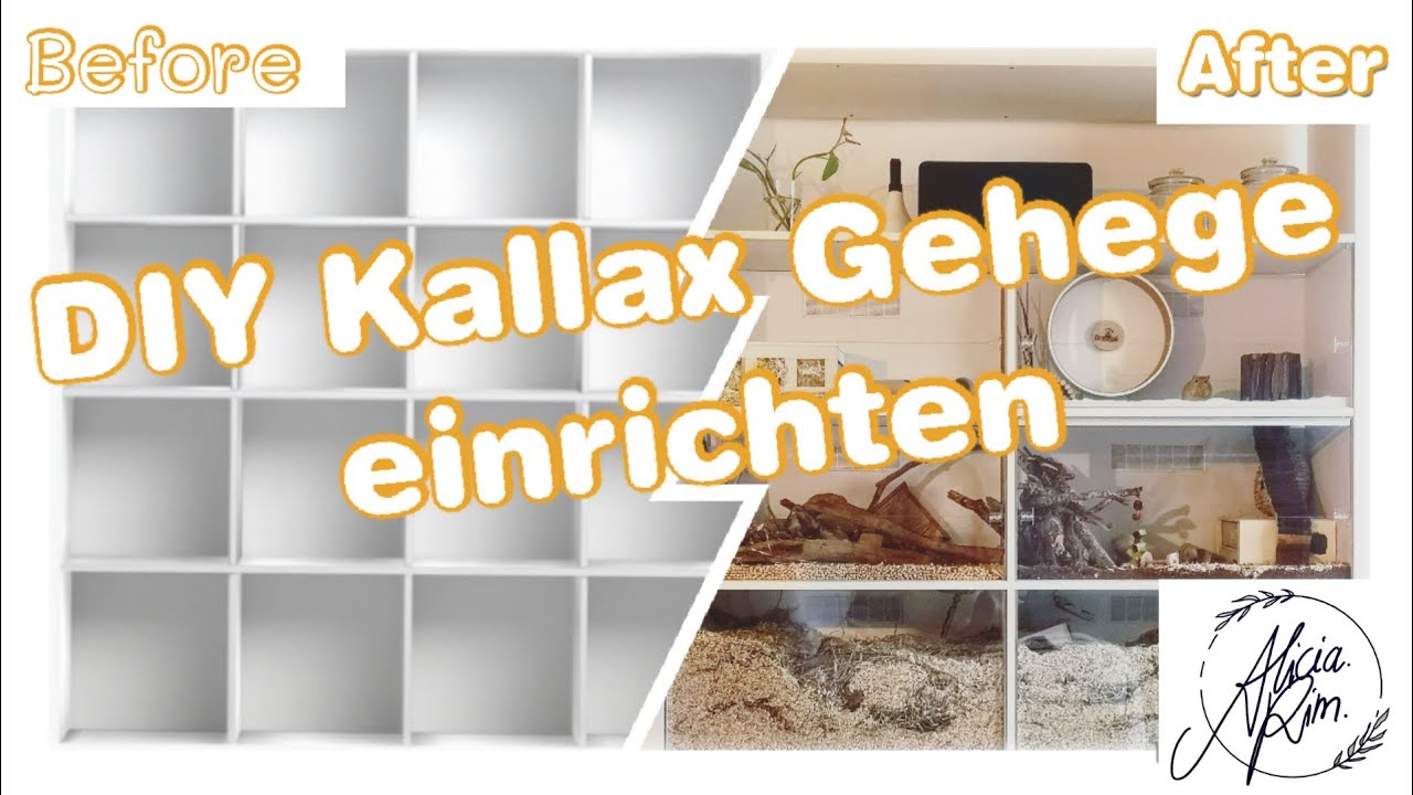 IKEA Hack - DIY Kallax Rennmaus Käfig einrichten 😍