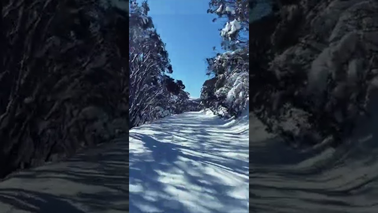 Opening weekend at falls creek⛷🏔⛅️ #fallscreek #fallscreek2022 #skiing #ytshorts #winter #australia