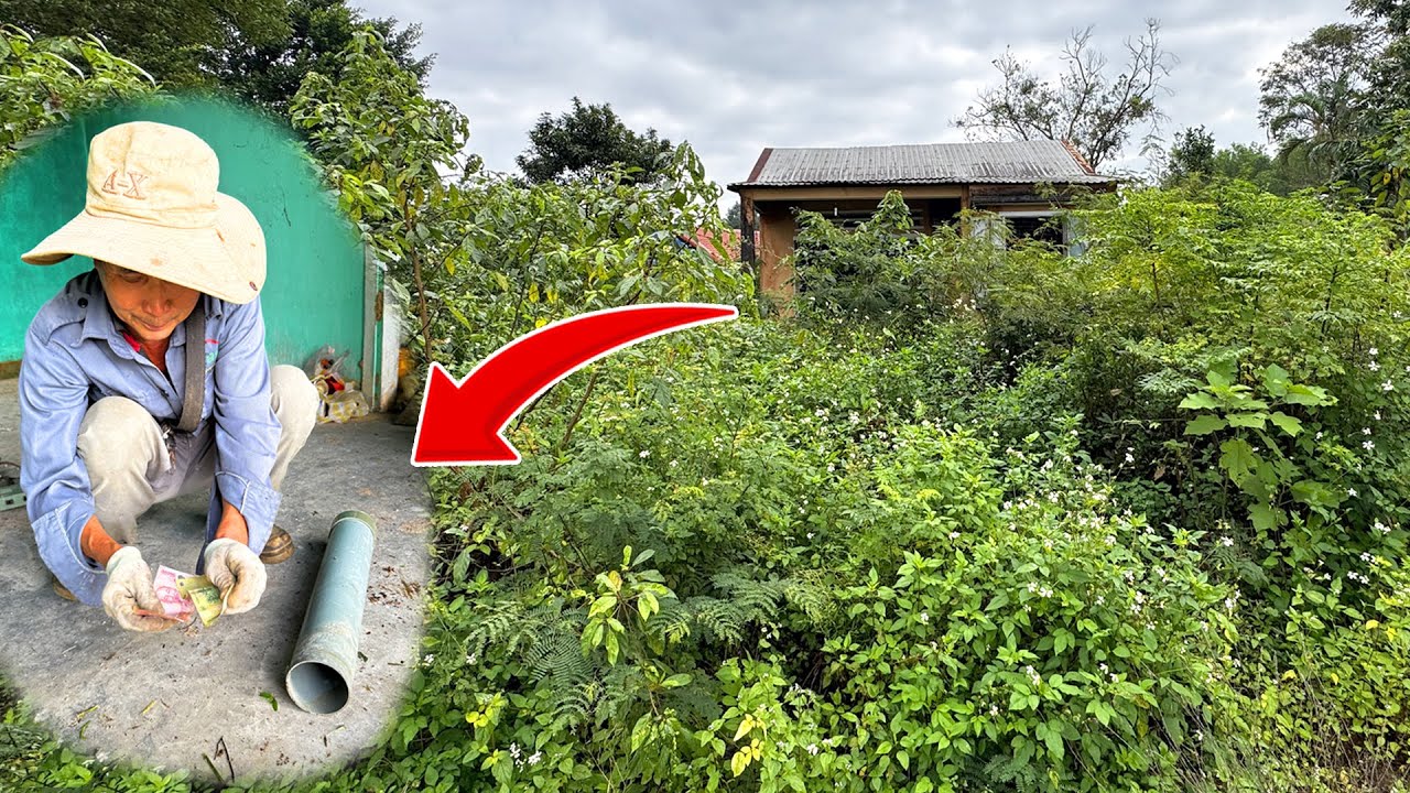 Cleaning an Abandoned House: A Shocking Discovery Inside the Forgotten Home