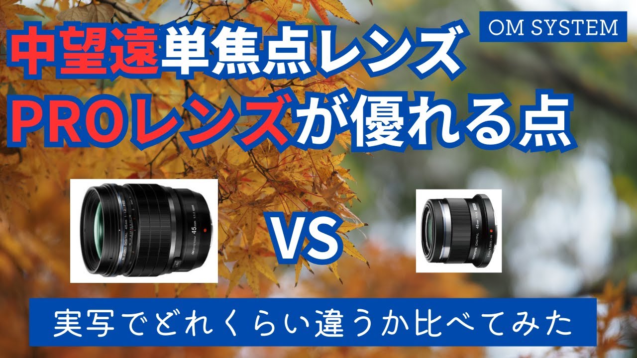 【実写比較】M.ZUIKO DIGITAL ED 45mm F1.2 PRO vs M.ZUIKO DIGITAL 45mm F1.8 PROレンズが優れている点【中望遠レンズ】【OM SYSTEM】