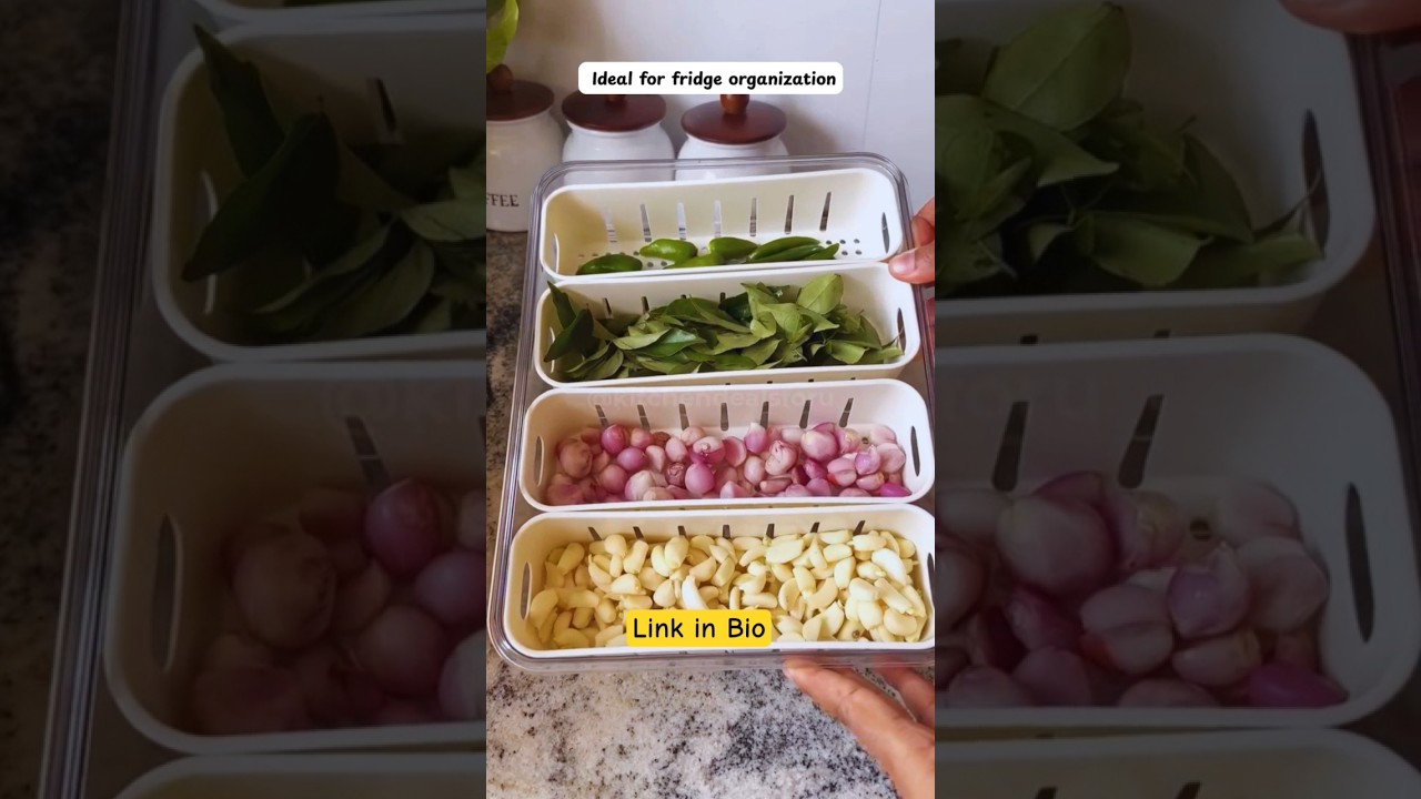 Fridge Storage Box 🤩 | Veggie Tray with Lid & Handle | Fridge Organizer 