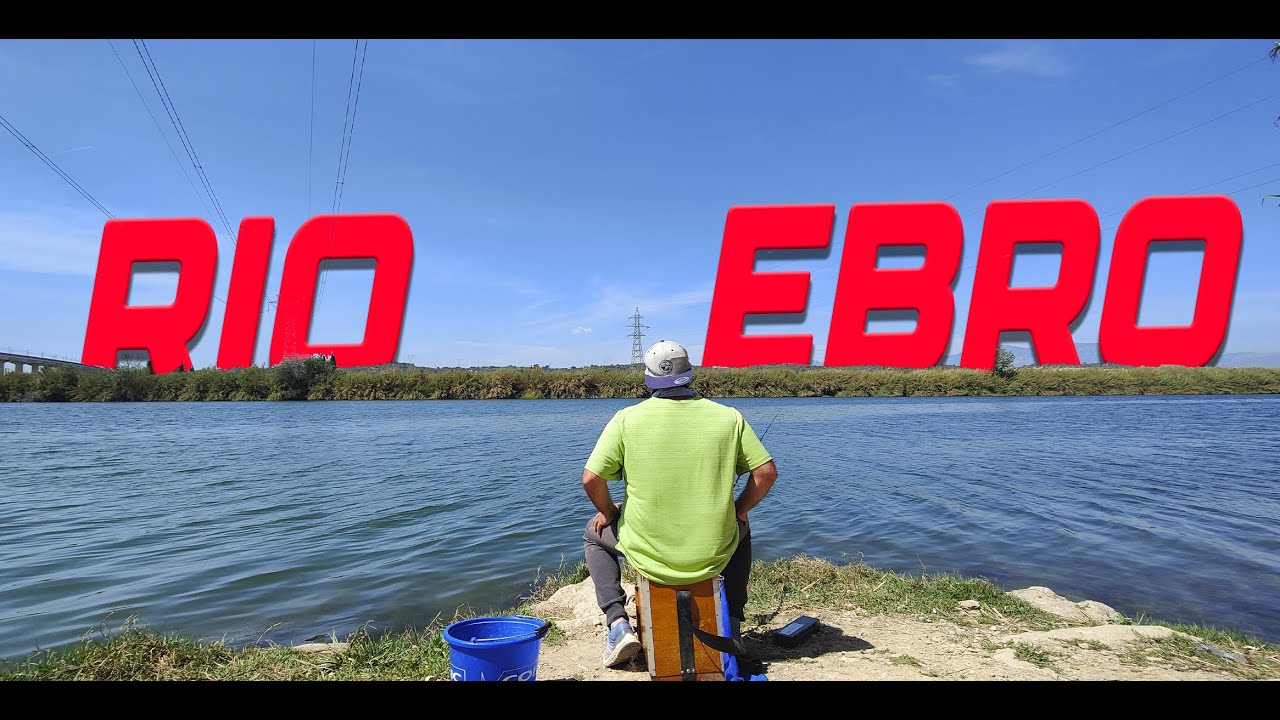 PESCANDO en un NUEVO SPOT del RIO EBRO desde ORILLA