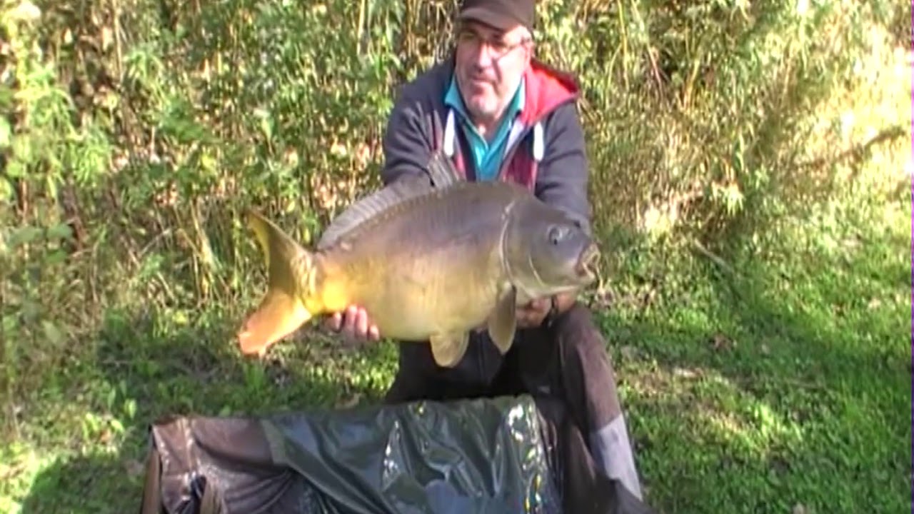 P&Ecirc;CHE A LA CARPE 2017.  En Alsace dans le d&eacute;partement 67 mois Octobre 2017.[CARPAVENGERS]