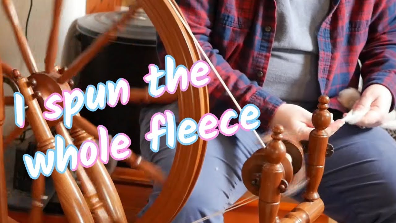 Spinning the Entire Jacob Wool Fleece