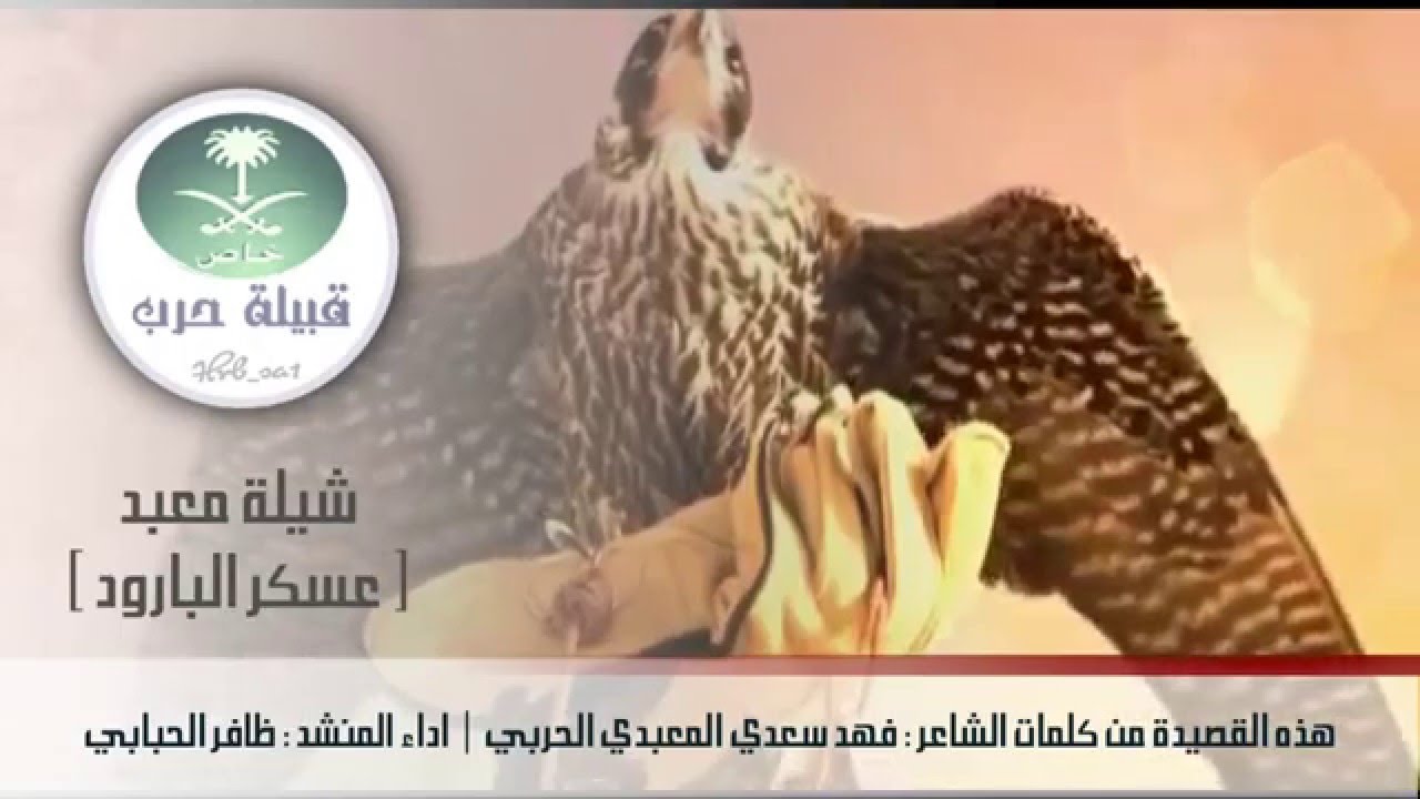 قبيلة حرب - شيلة معبد عسكر البارود | كلمات الشاعر فهد المعبدي الحربي | اداء المنشد ظافر الحبابي |