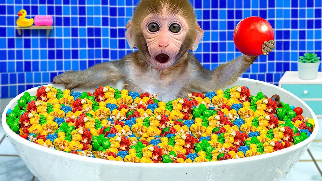 Малышка Обезьянка Bonbon Наслаждается Радужным Мороженым И Собирает Арбузы В Саду, Чтобы Сделат