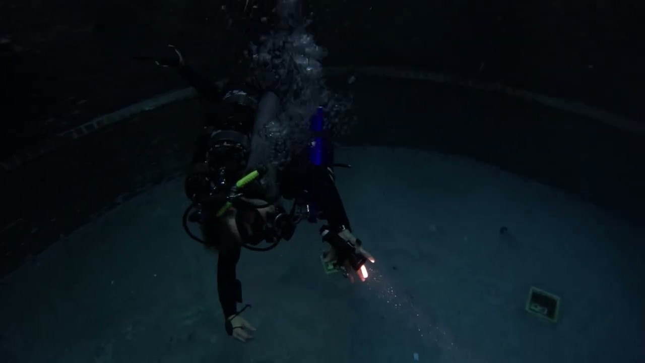 How does the Deep Dive Dubai at the depth of 60m (196ft) look like?