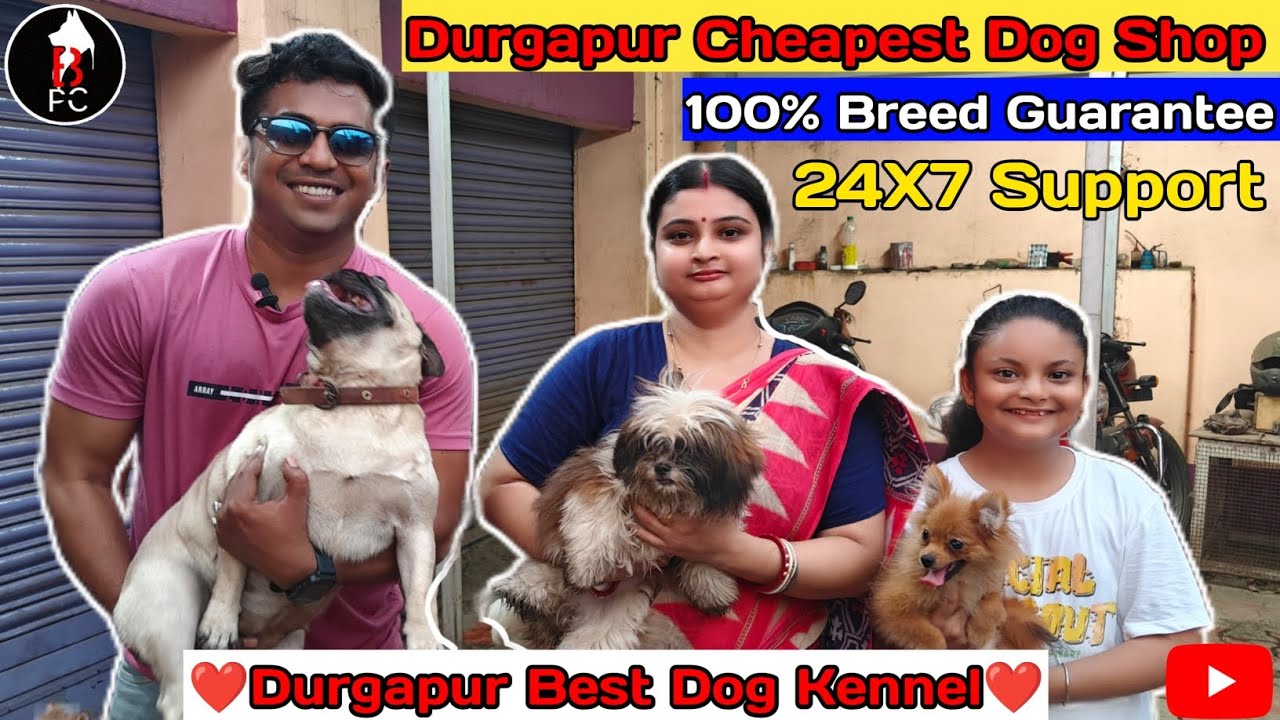 Durgapur Best And Cheapest Dog Kennel ।। Best Pet Shop In Durgapur।। 