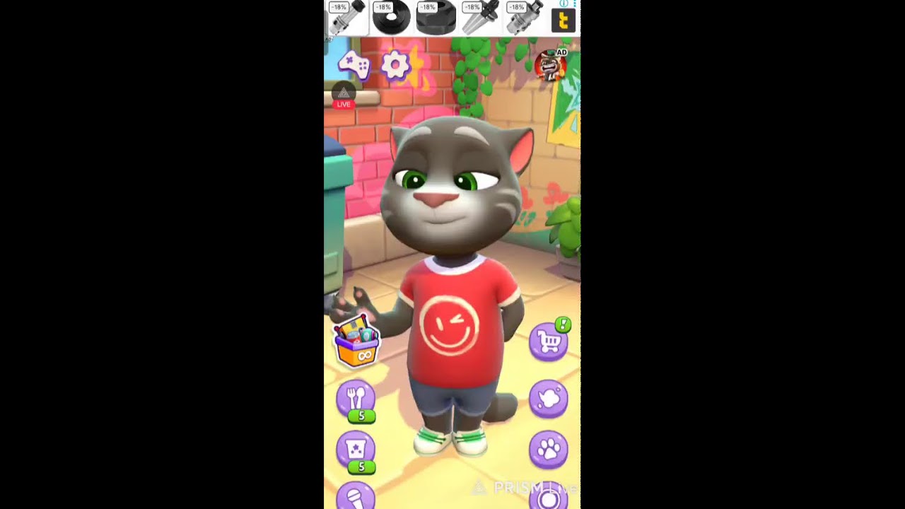 Talking Tom game