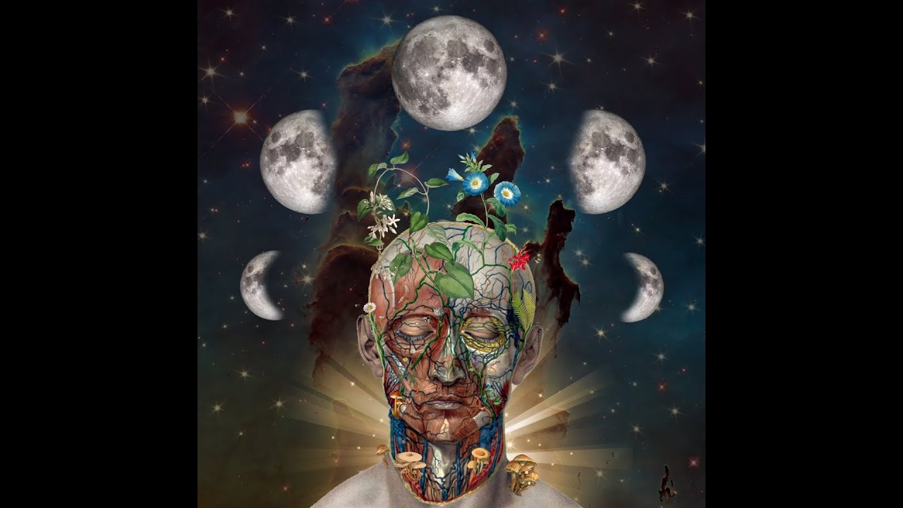 Axel Thesleff - We Are the Moon