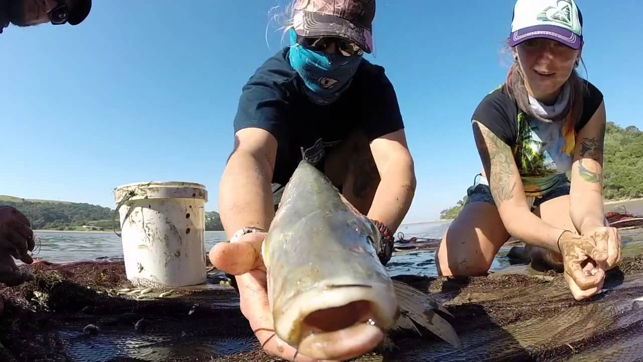 Seine fishing in the Transkei