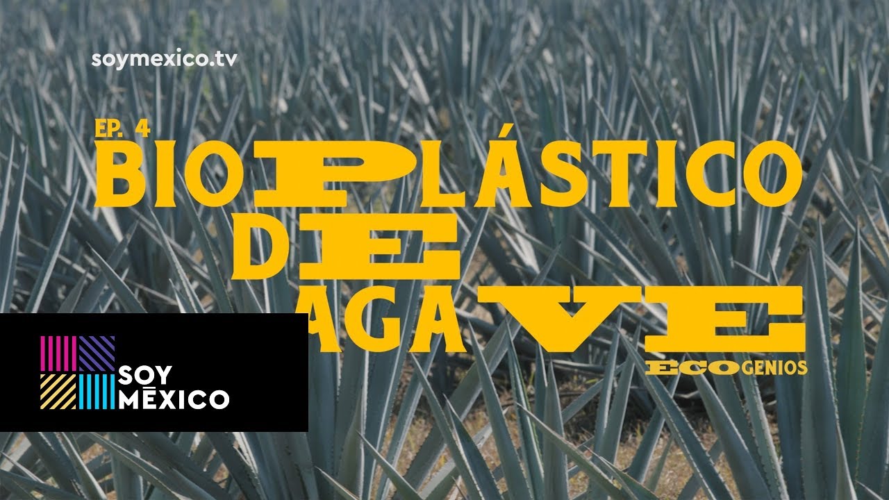 Ecogenios: Bioplástico de agave | Capítulo 04 | #SoyMéxico