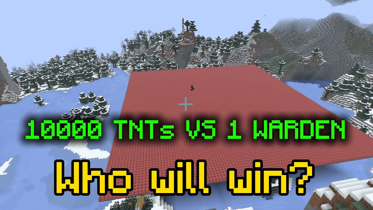 1 WARDEN vs 10,000 TNTs