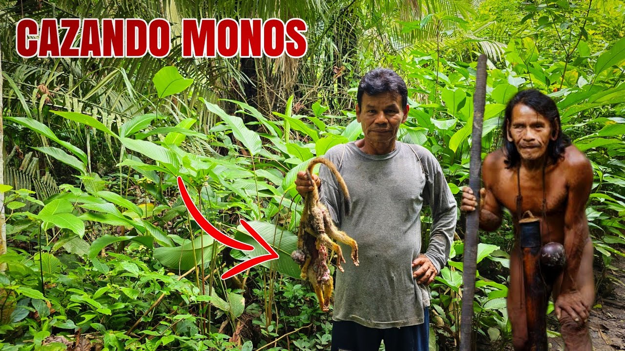 Así es vivir en la peligrosa selva amazónica ☠️ Ucayali 🇵🇪