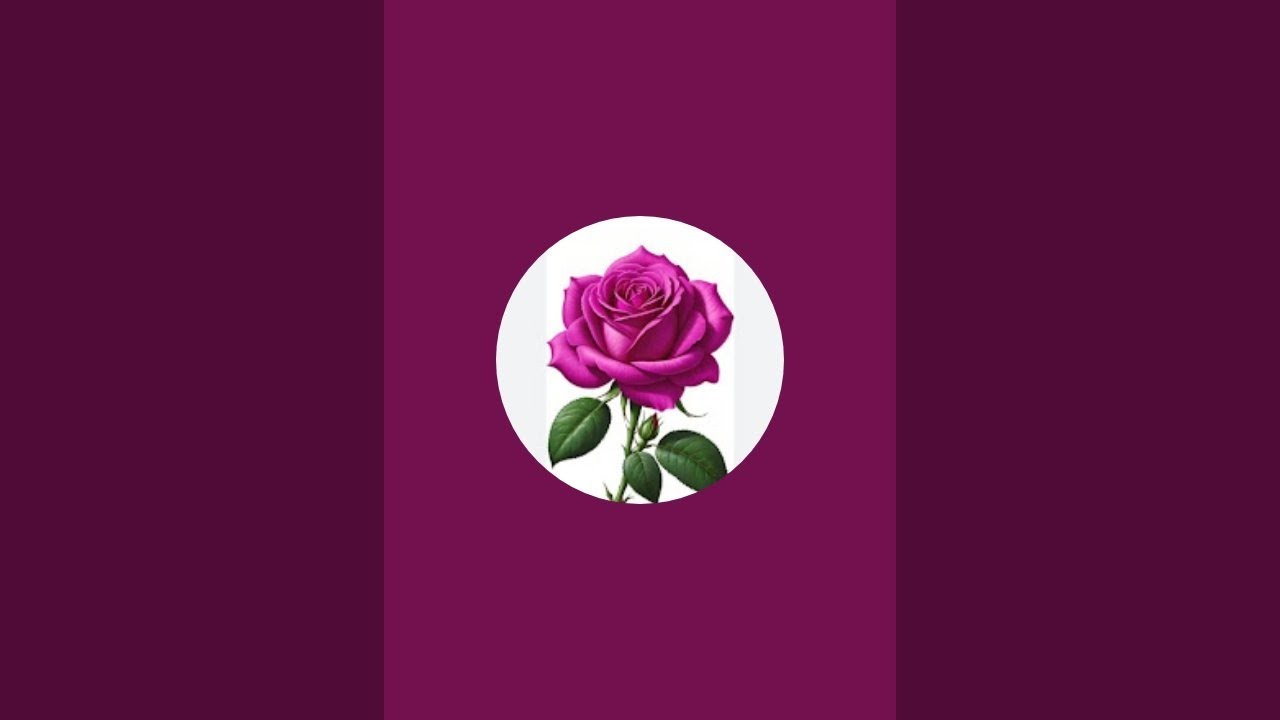 صلي على الحبيب قلبك يطيب ❣️❣️❣️❤️