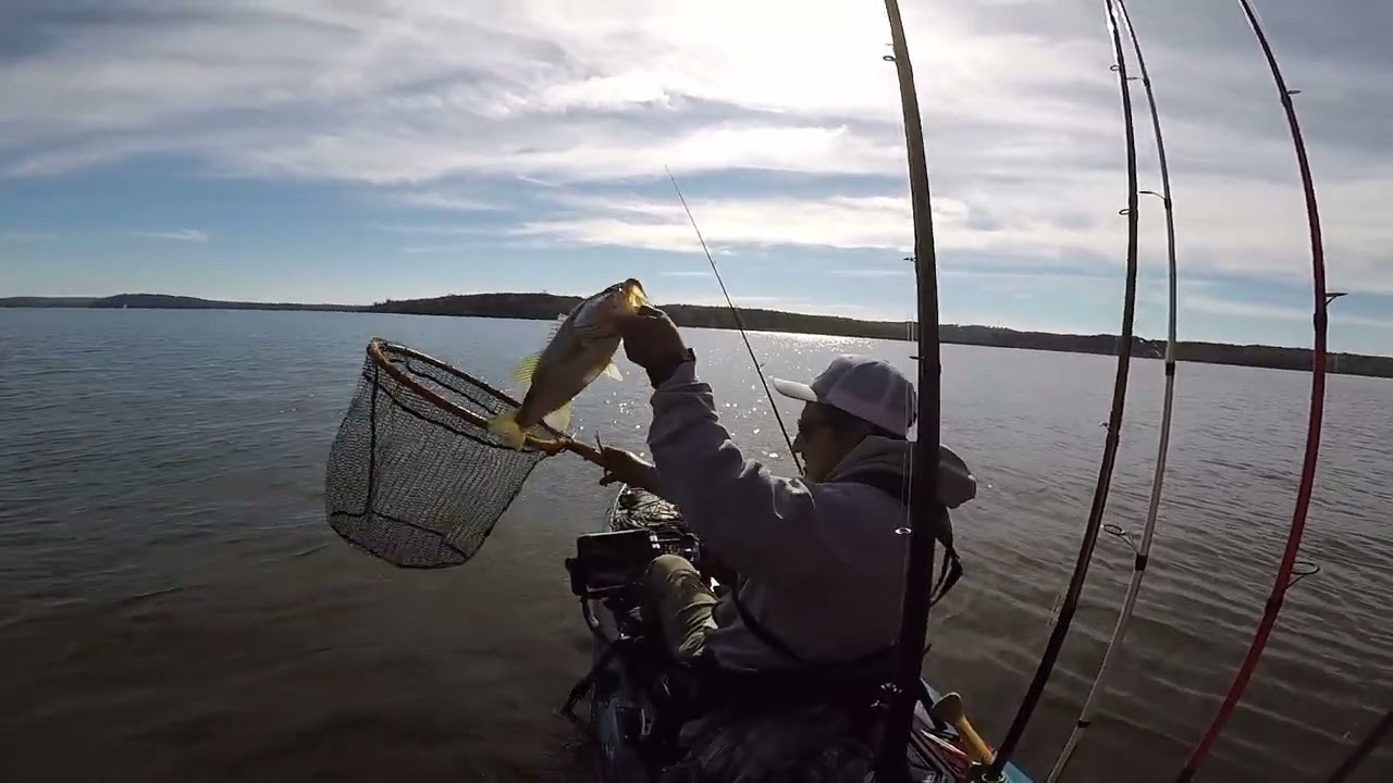 QCKBF FISH OFF FISH 2