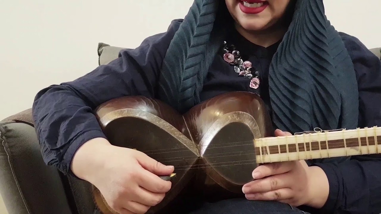 آزاده امیری(نکاتی درباره ریز)