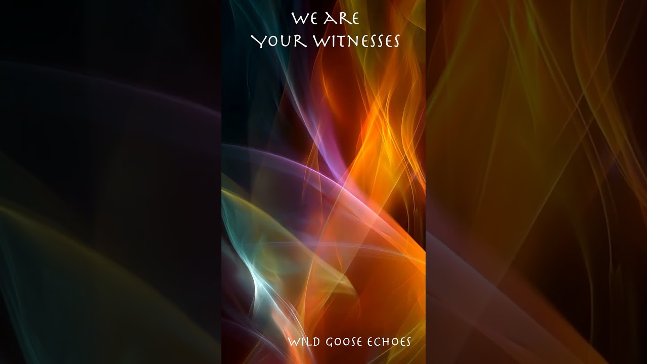 We Are Your Witnesses