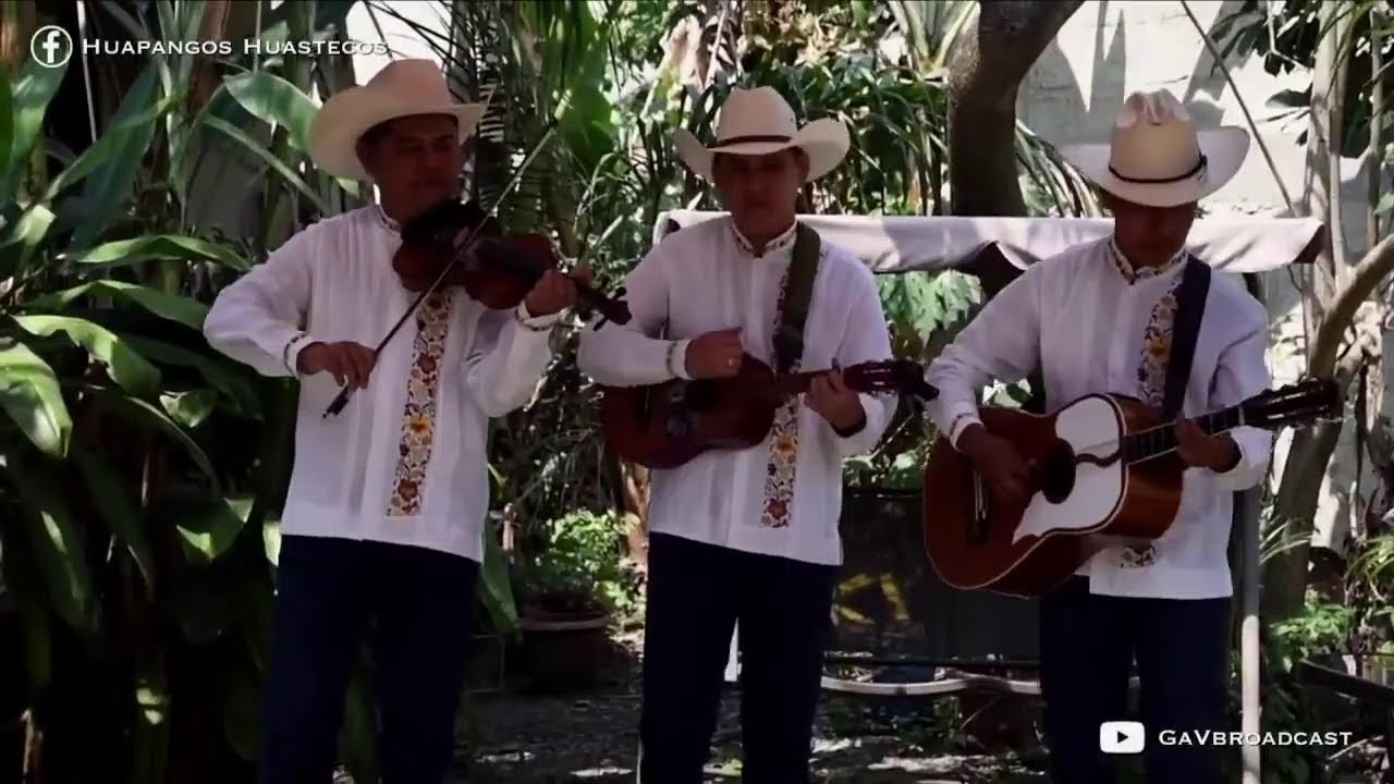 Escuchemos Huapangos Huastecos!