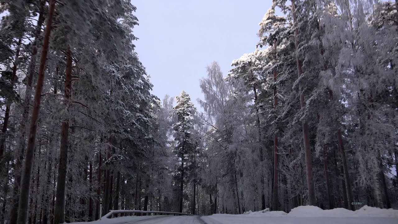 Beautiful winter road trip 4K Finland  Punkaharju