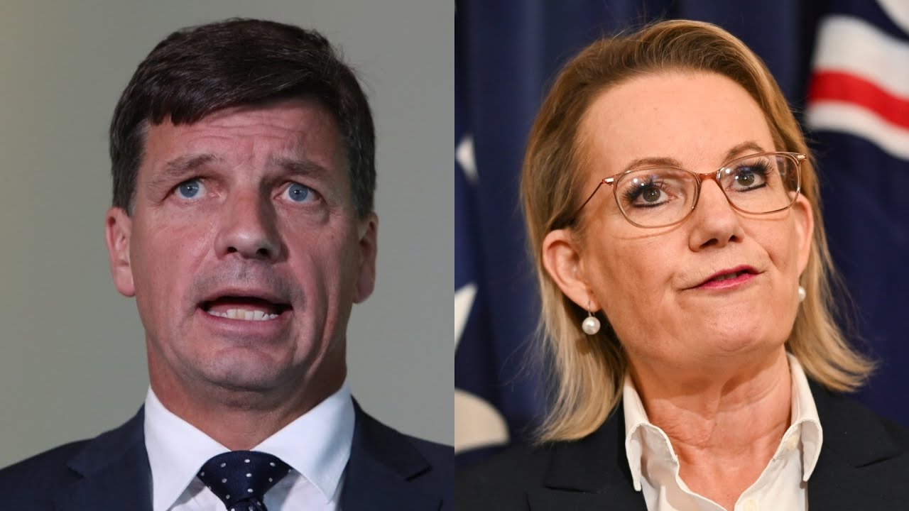‘Regime change’ was necessary: Liberal Party ‘reset’ required a leadership spill