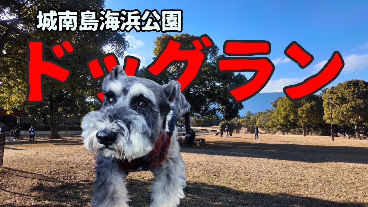 【東京大田区】飛行機が見えるドッグラン/城南島海浜公園/つばさドッグラン