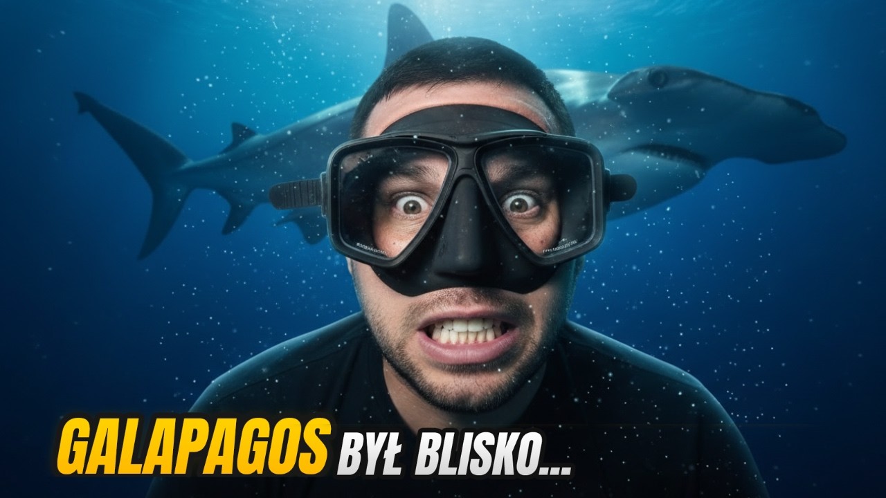 Sam na sam z rekinem młotem...