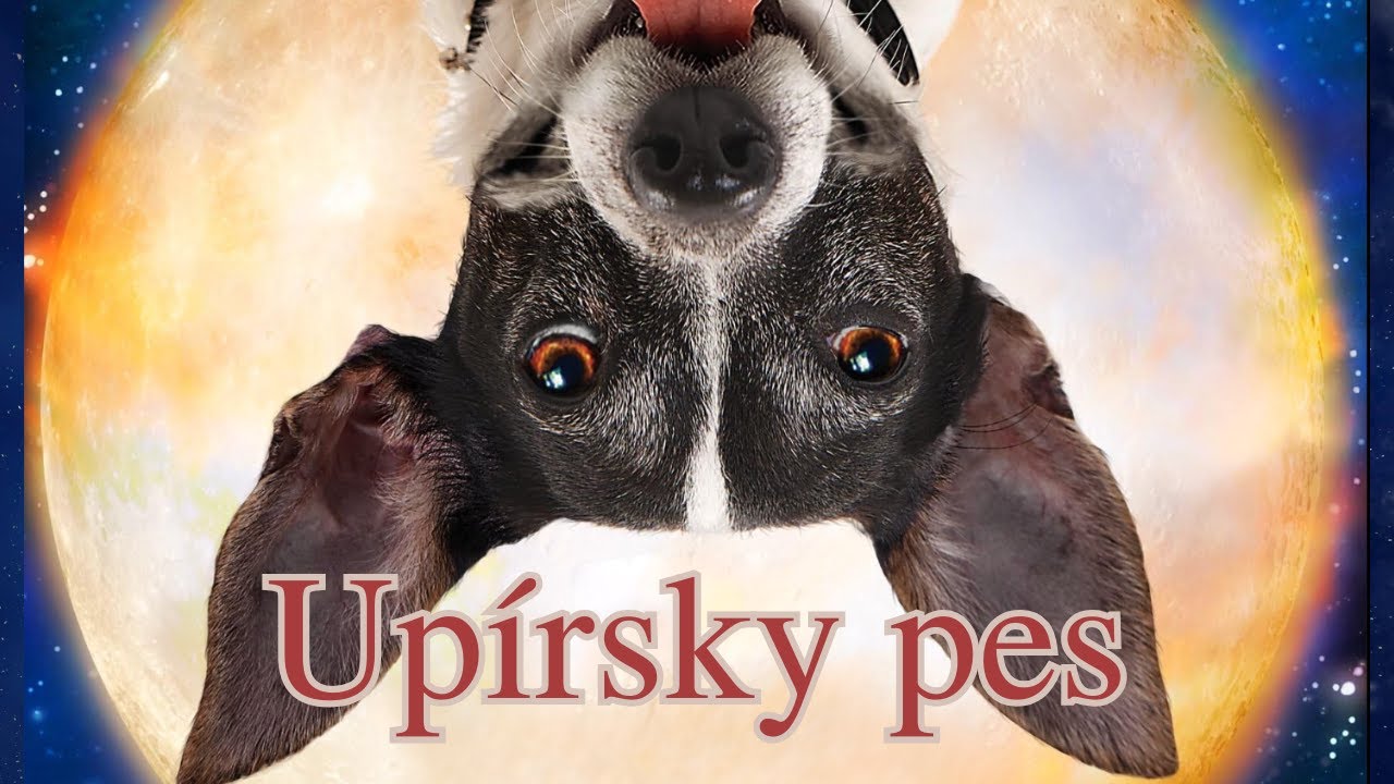 Upírsky pes | slovenský dabing | Rodinná komedie