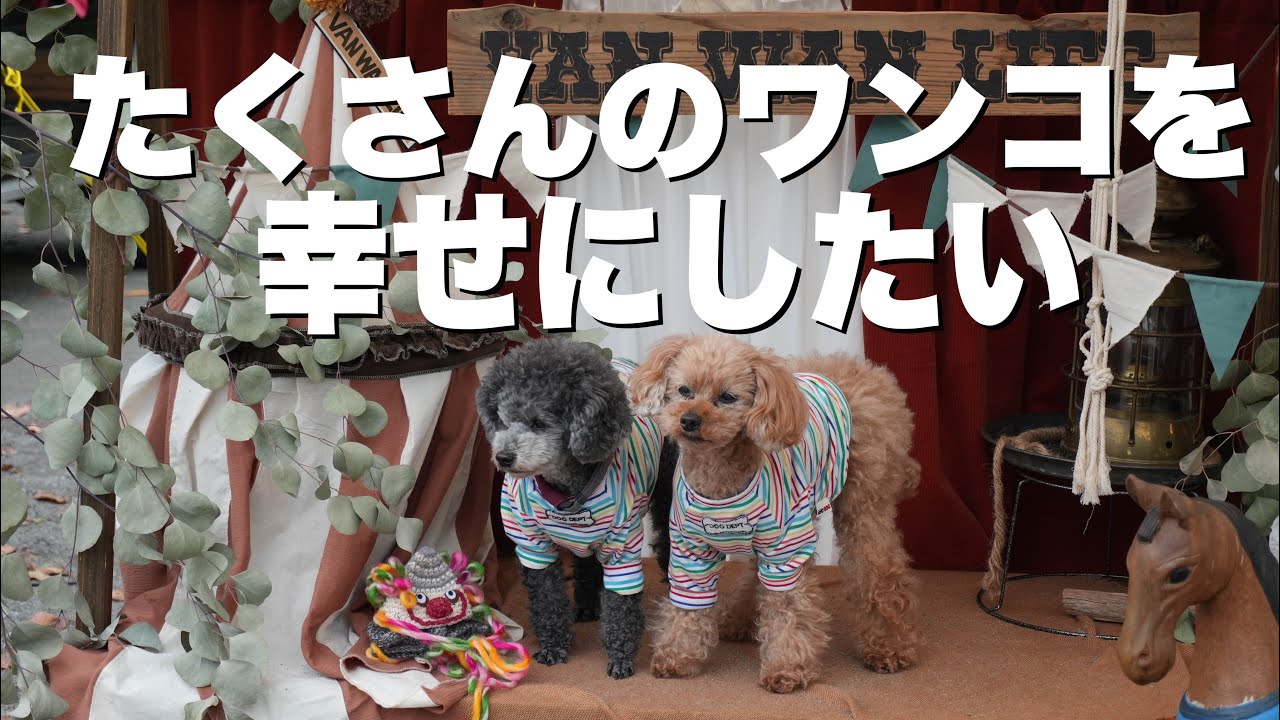 【VAN WAN LIFE Vol.4】全てのワンコの為に私達ができる事　チャリティー