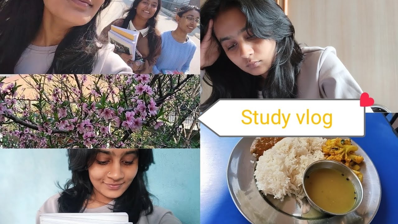 A productive day ✨❤️#study #subscribe #motivation #viral #support 