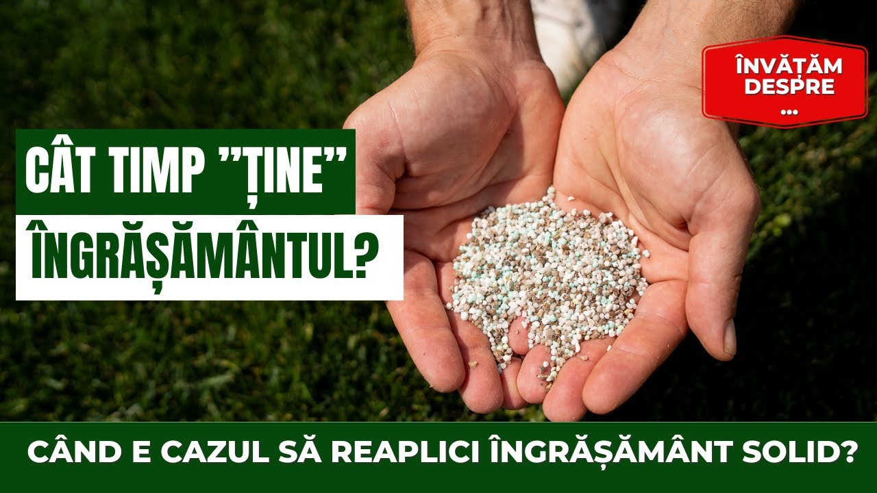 &Icirc;ngrășăm&acirc;nt pentru gazon: Durata efectului &icirc;ngrășămintelor. C&acirc;nd reaplici &icirc;ngrășăm&acirc;nt gazonului?