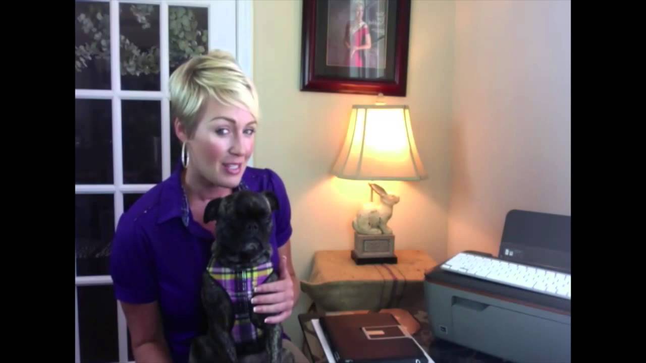 DakPets  video review