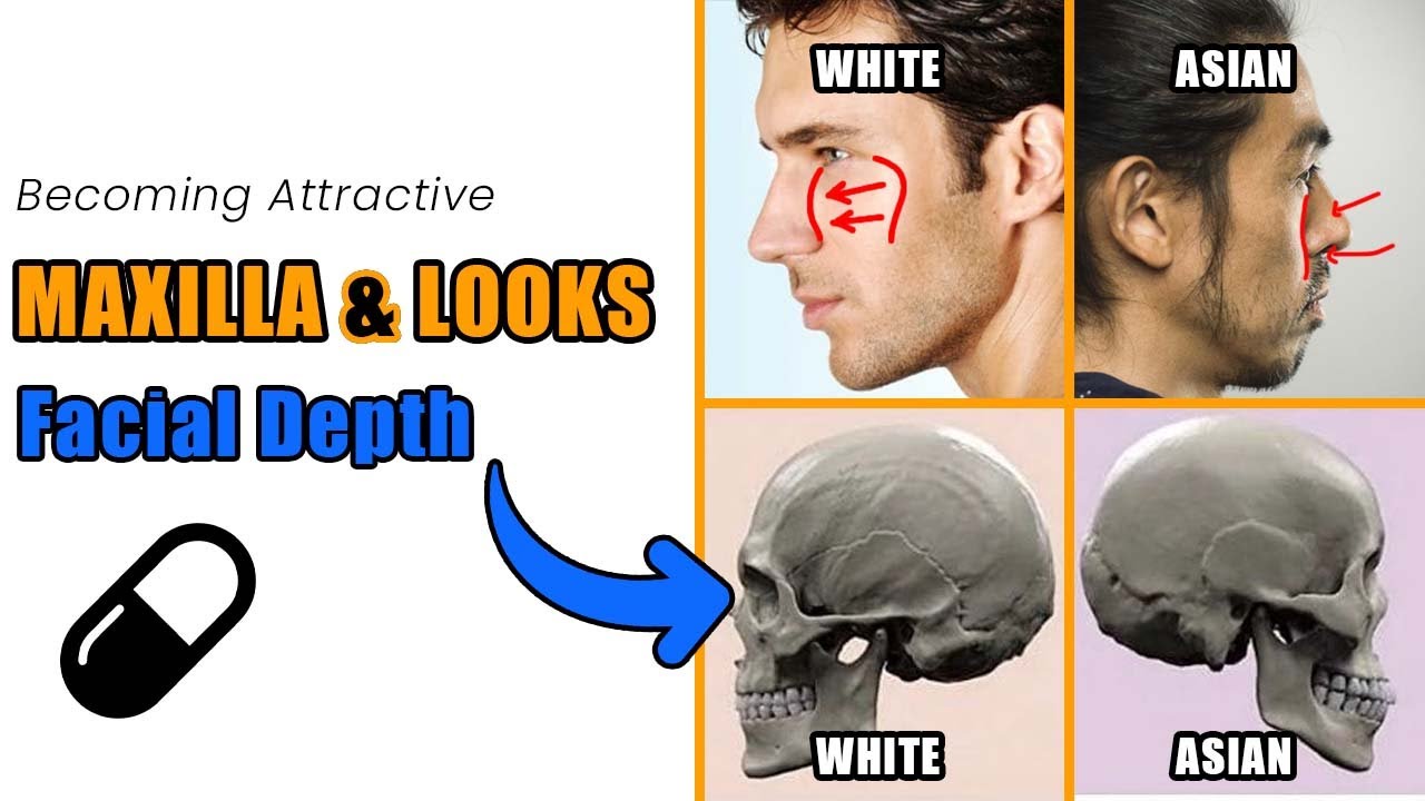 The Maxilla Secret To Become Attractive - Facial Depth (blackpill)