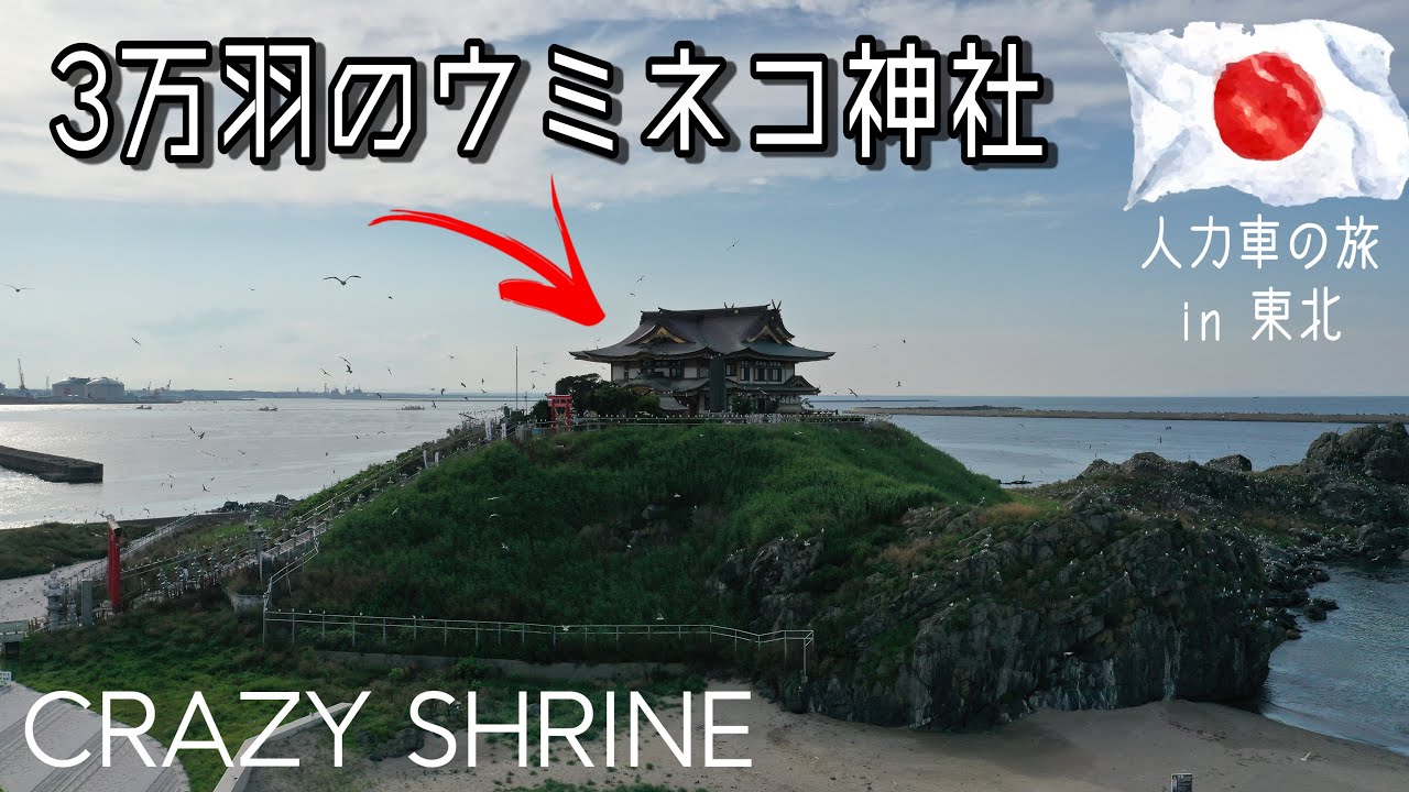 #4【カオス】無事に参拝できた者はいない！3万羽の鳥が住み着いた神社でウ○コが着くまで回り続てみた。現在は八戸市です。#4 30,000 live in the Shrine in Japan.