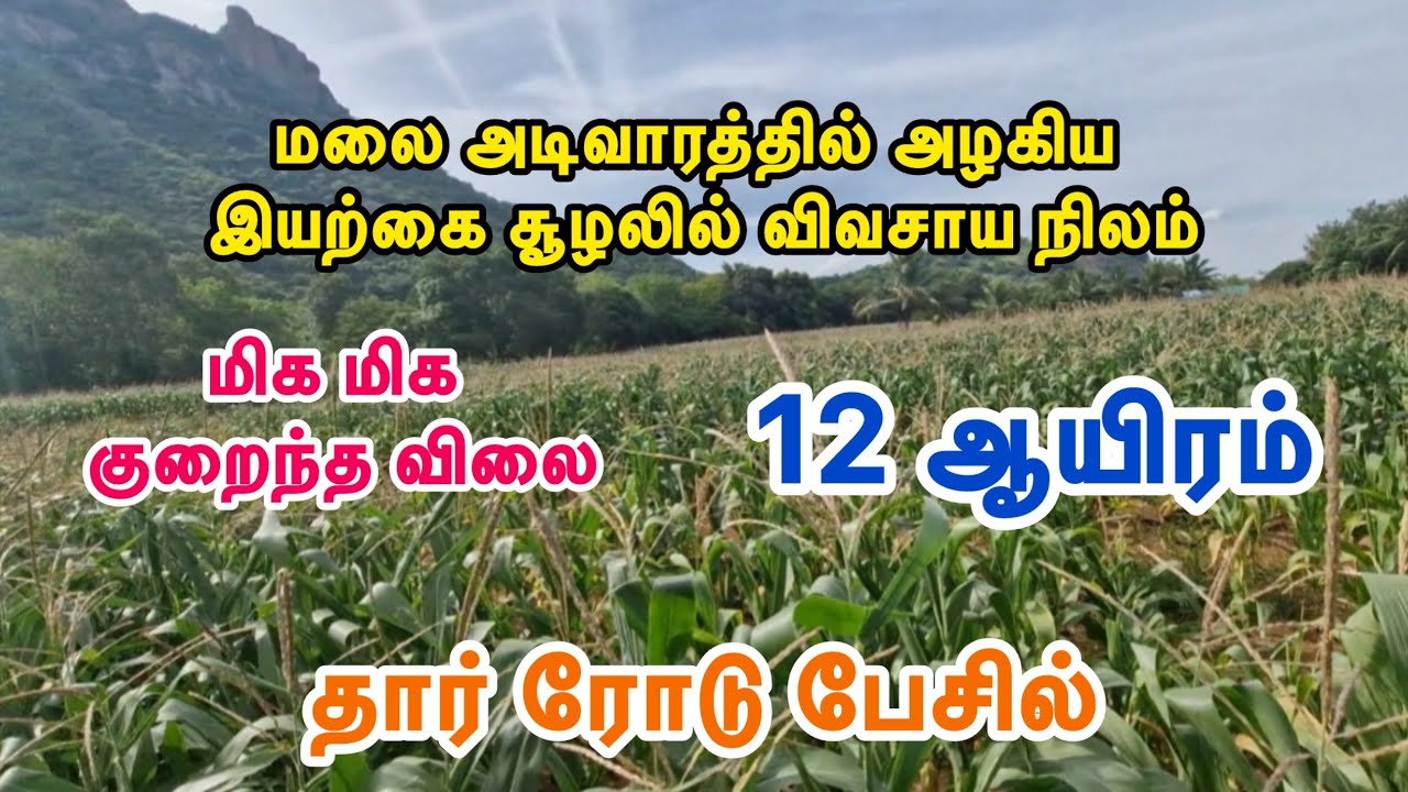 ID -402 மிக மிக குறைந்த விலையில் தார் ரோடு பேசில் விவசாய நிலம் விற்பனைக்கு farmland for sale