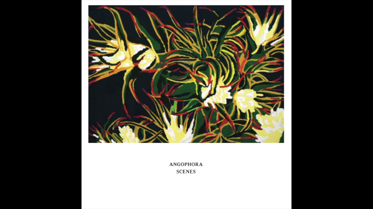 Angophora - Returning