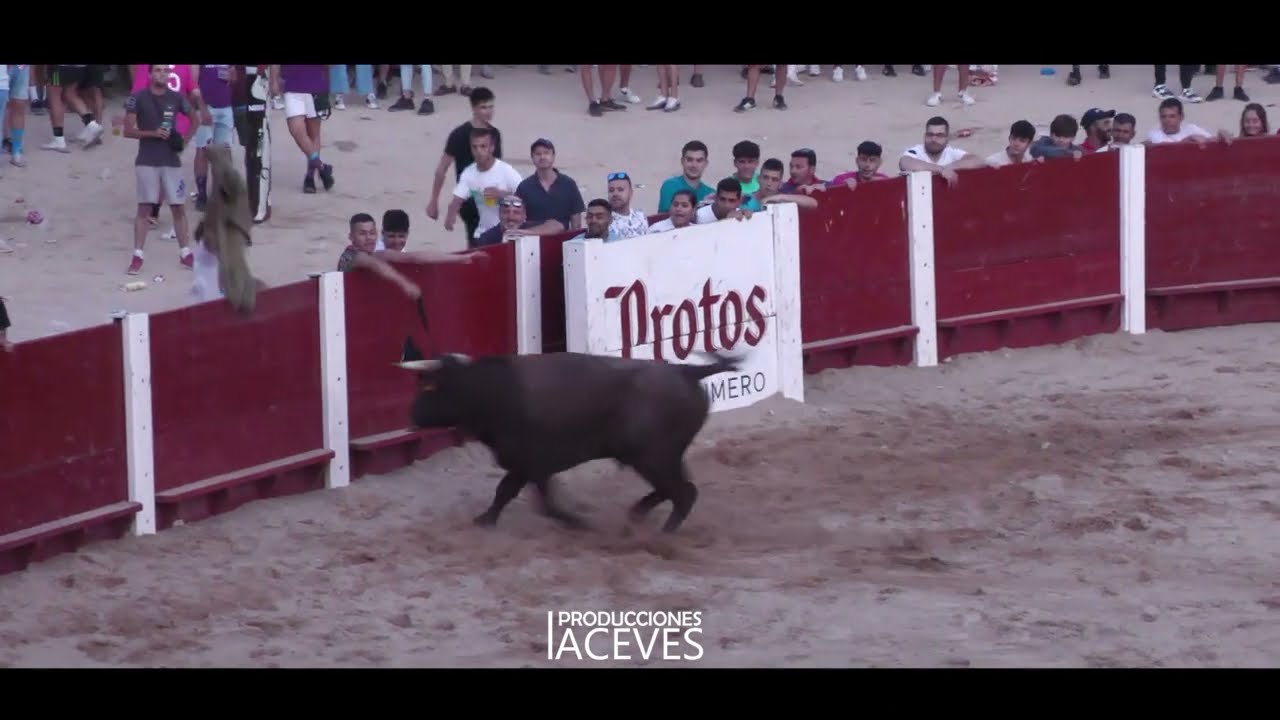 La casta de Arriazu por Peñafiel