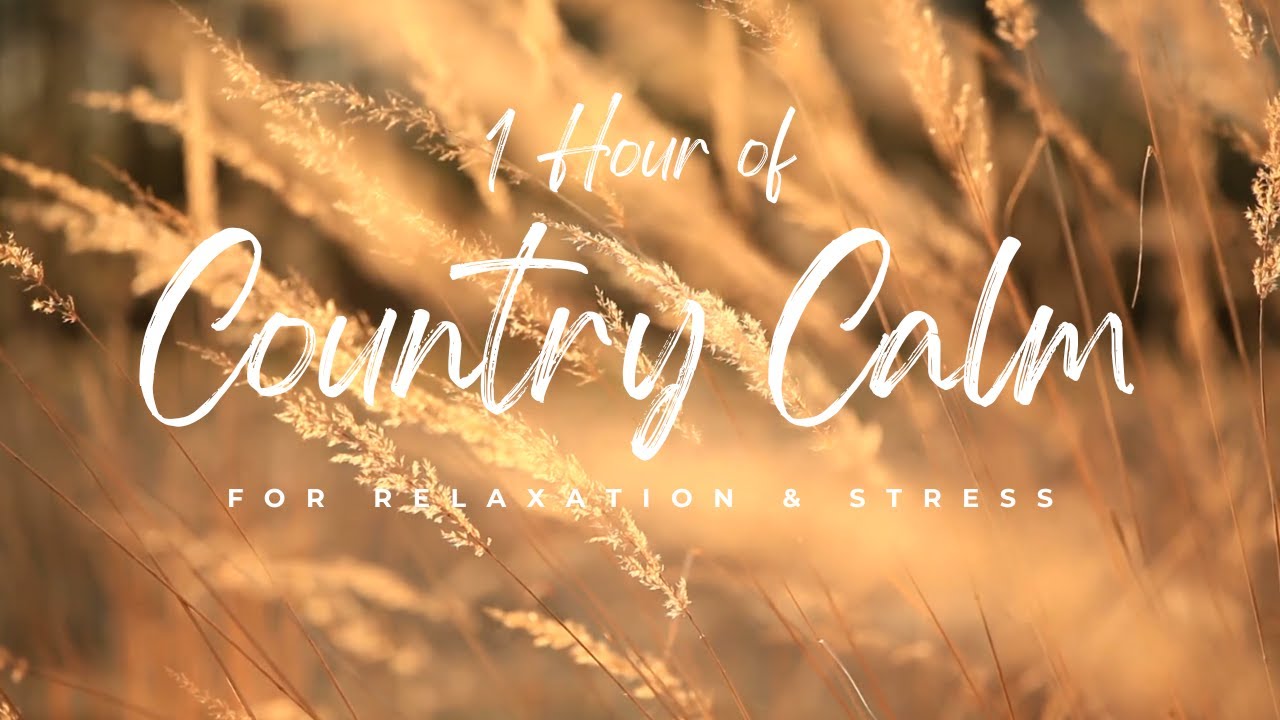 1 Hour of Acoustic Country Music | Relaxing Folk Instrumental