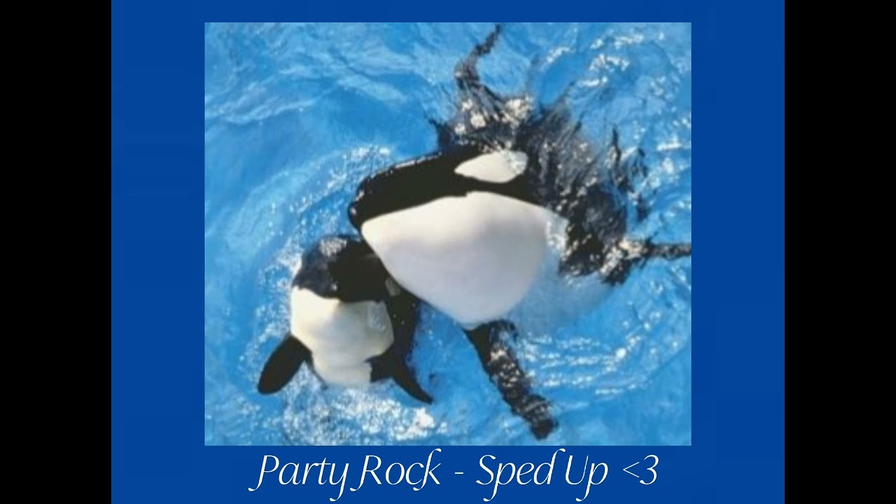 ~ Party Rock ~ Sped Up ~