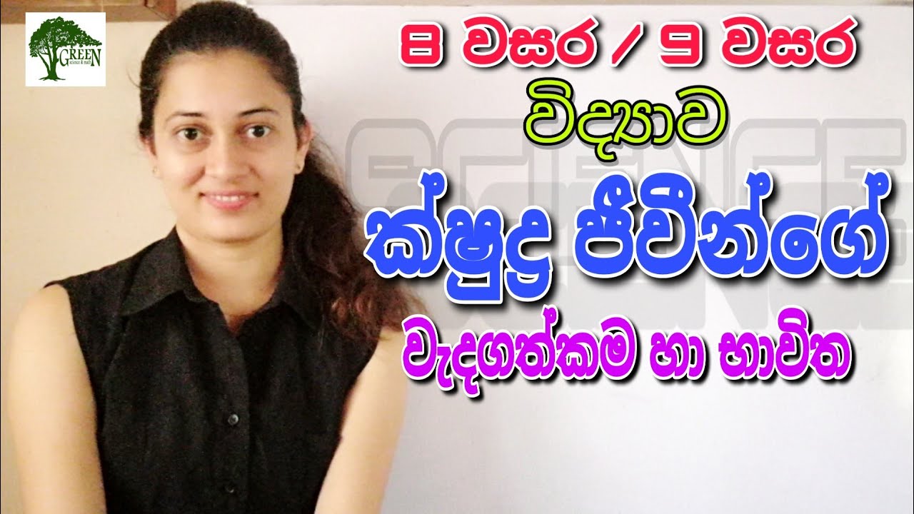 Grade 8 Science - ක්ෂුද්‍ර ජීවීන්ගේ වැදගත්කම Grade 9 Science Microorganisms | 8 වසර 9 වසර විද්‍යාව