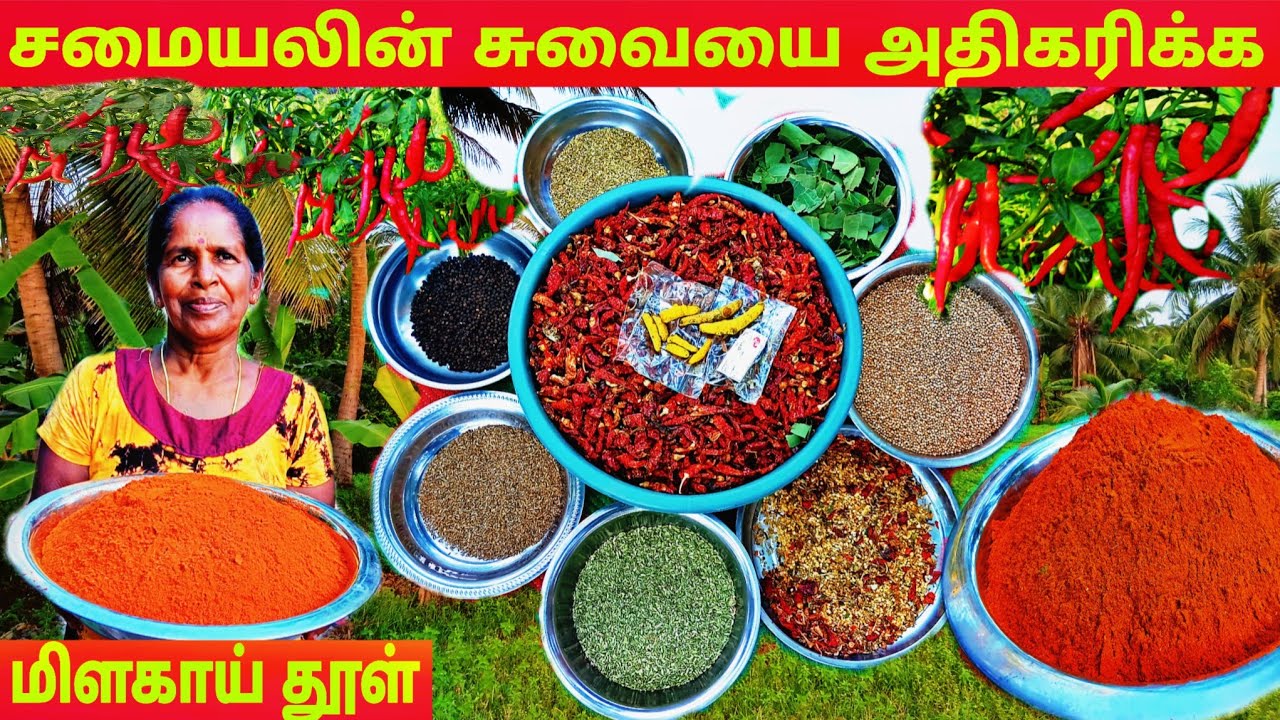 கறியின் சுவையை அதிகரிக்கும் original  மிளகாய்தூள் l village life 💚 vanni bro 