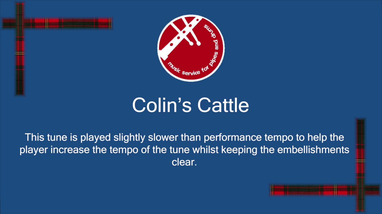 Colin's Cattle