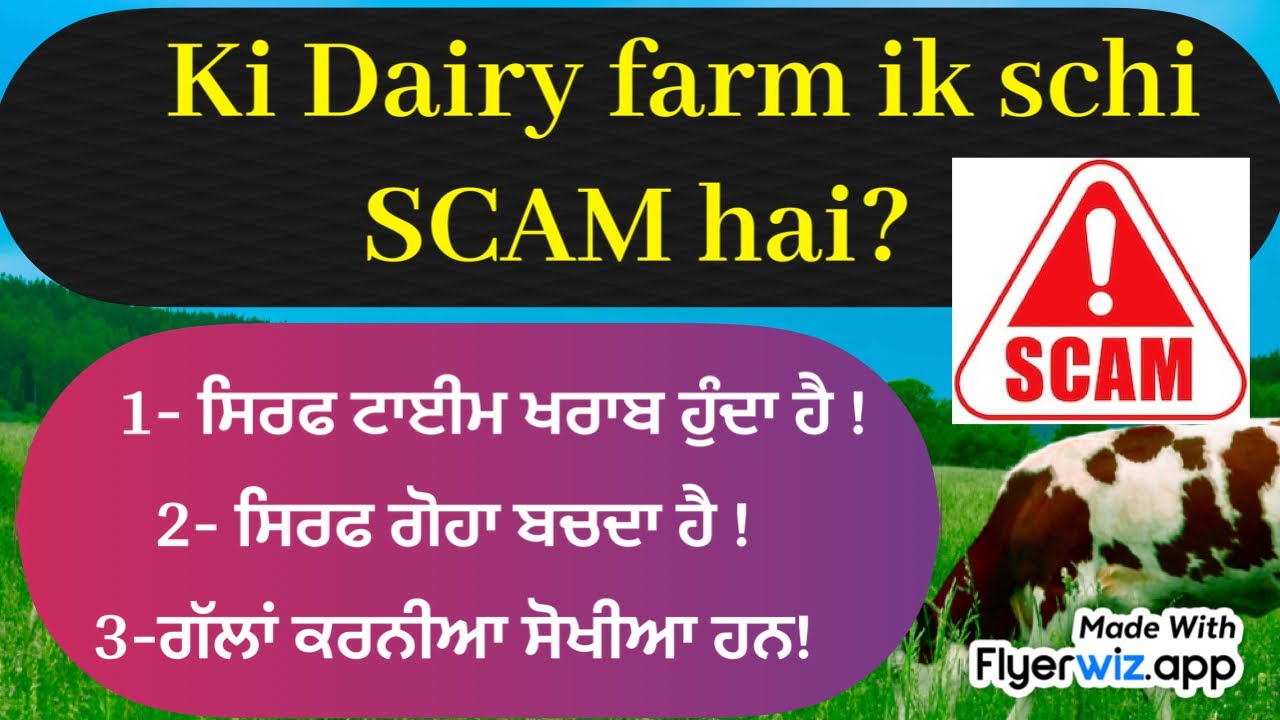 Dairy farm scam hai ? 