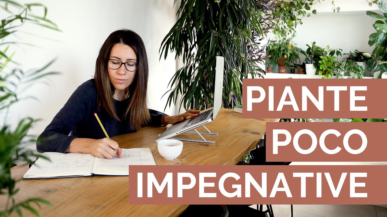 10 PIANTE che puoi DIMENTICARTI | Per persone molto impegnate