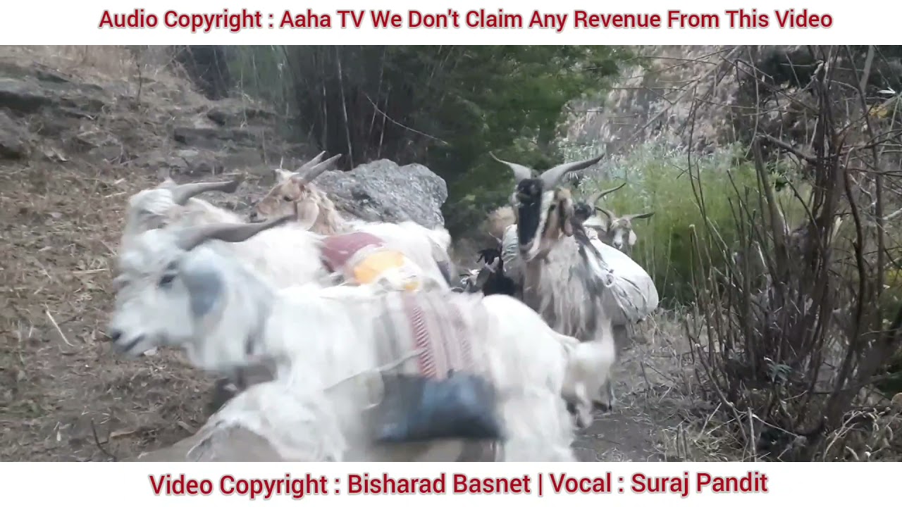 Cover Song : Rail Ko Bato | Suraj Pandit