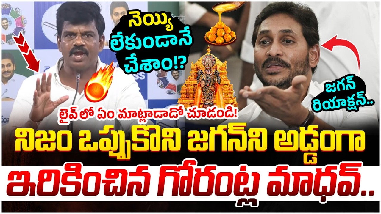 Gorantla Madhav Tongue Slip on TTD Laddu | Big Shock to YS Jagan | Chandrababu | AP Politics