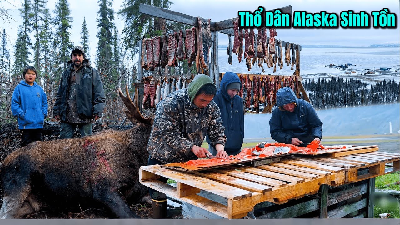 Thổ Dân Bản Địa ALASKA - Thịt Cá Tươi - Nai Sừng Tấm Khủng